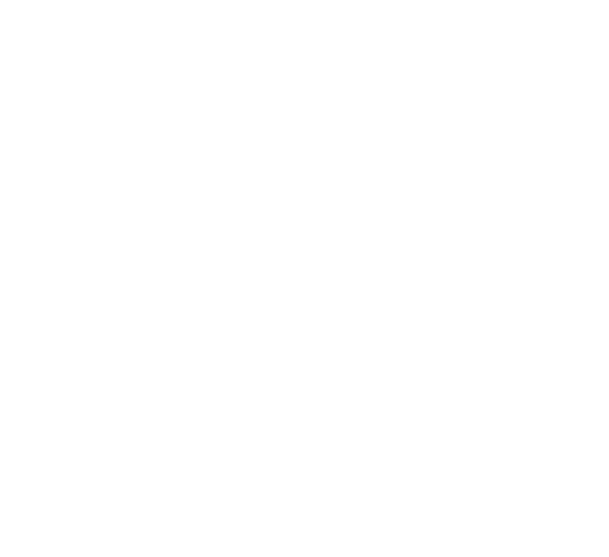 Logo PMX Academy
